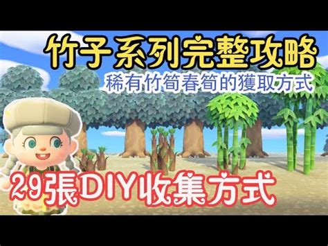 動森種竹子距離|動物森友會竹子島攻略 